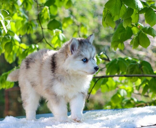 alaska2