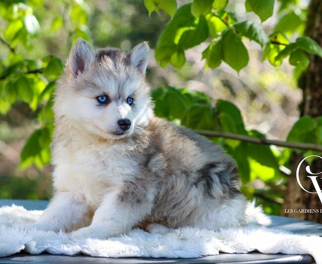 alaska4