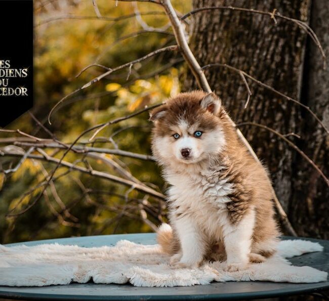 after des gardiens du vencedor4