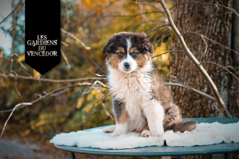 alesia des gardiens du vencedor2