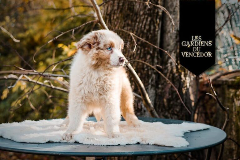 alizee des gardiens du vencedor3