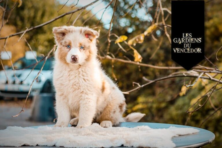 alizee des gardiens du vencedor4