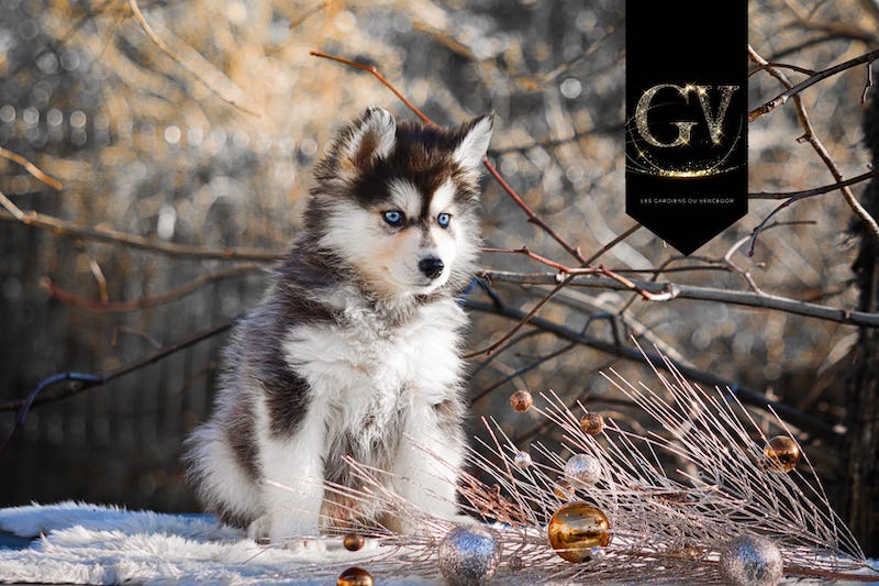 Acapulco des gardiens du vencedor1