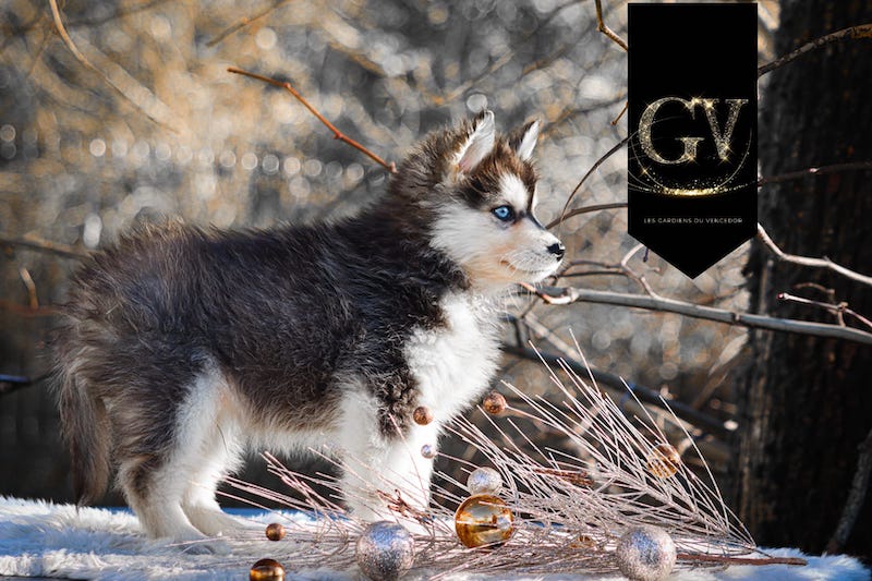 Acapulco des gardiens du vencedor2