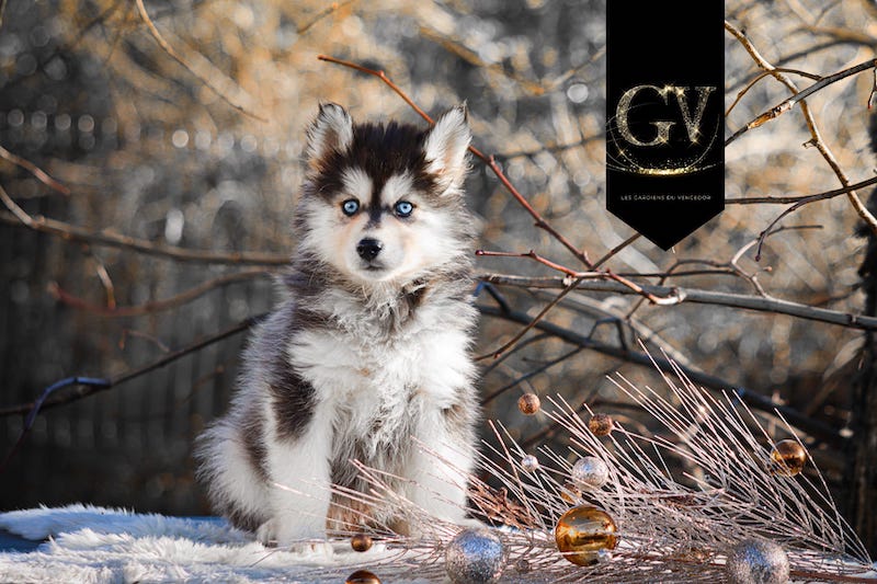 Acapulco des gardiens du vencedor4