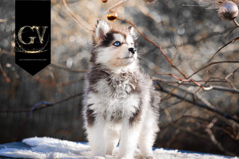 Acapulco des gardiens du vencedor5