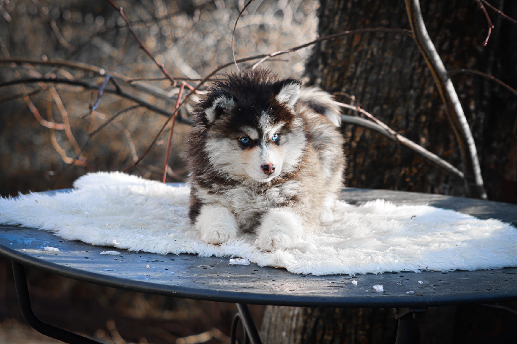 WhatsApp Image 2025-12-31 at 15.27.35 (1)