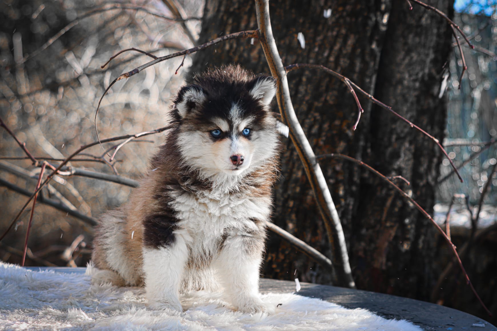 WhatsApp Image 2025-12-31 at 15.27.35