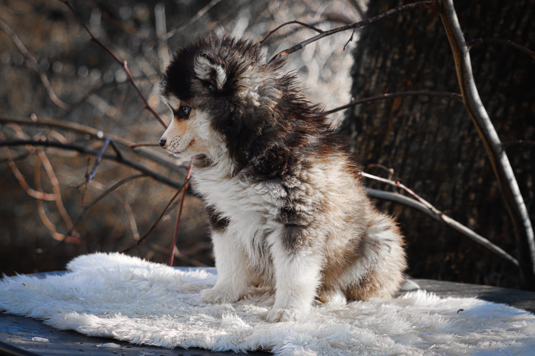 WhatsApp Image 2025-12-31 at 15.27.36 (1)