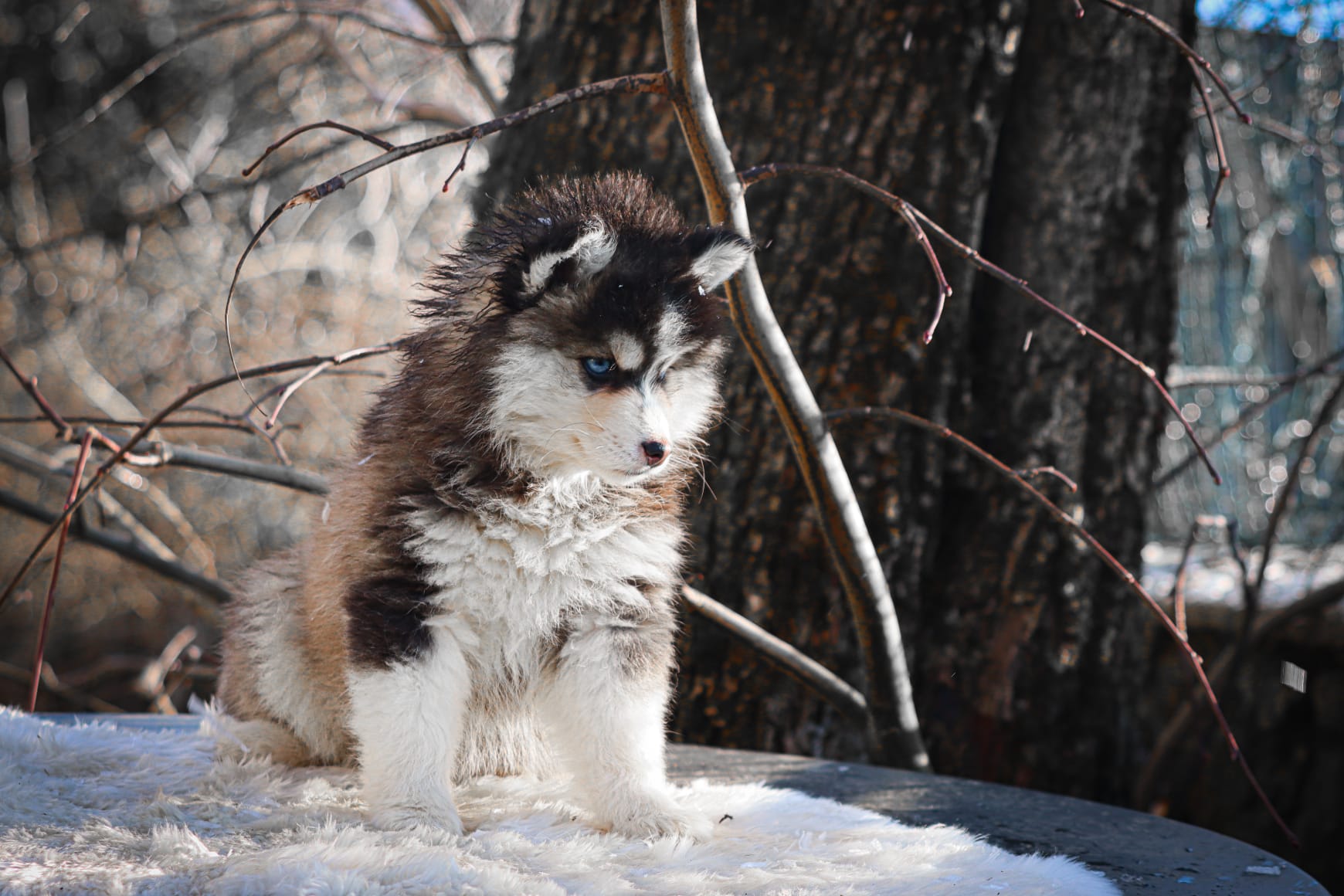 WhatsApp Image 2025-12-31 at 15.27.36