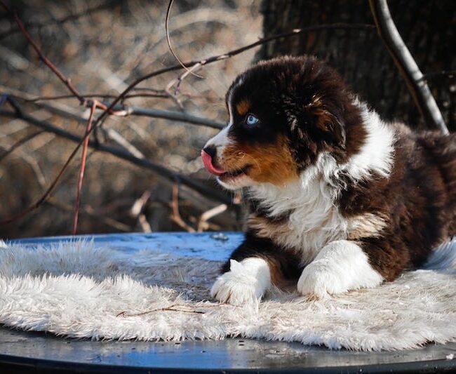 abyss des gardiens du vencedor3