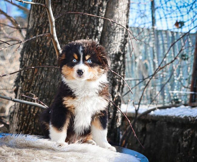 abyss des gardiens du vencedor5