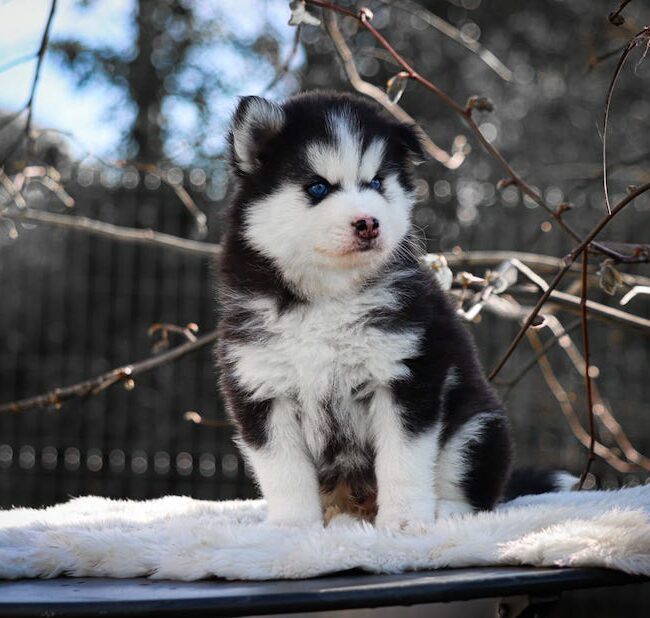 blooper des gardiens du vencedor1