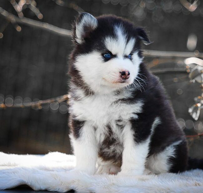 blooper des gardiens du vencedor4